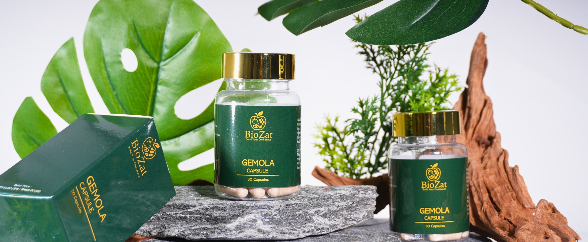 biozat-gemola-bg2