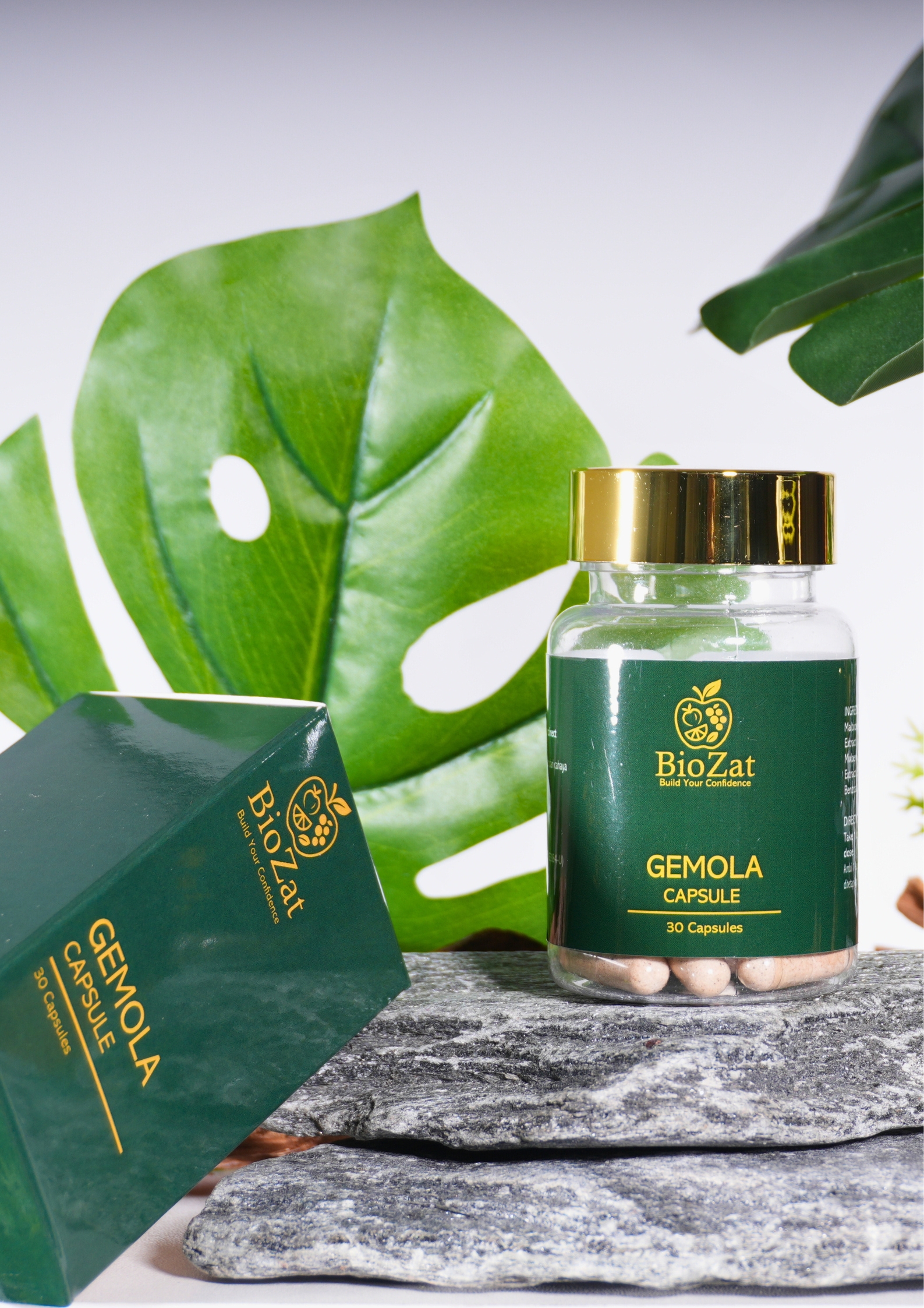 biozat-gemola-1